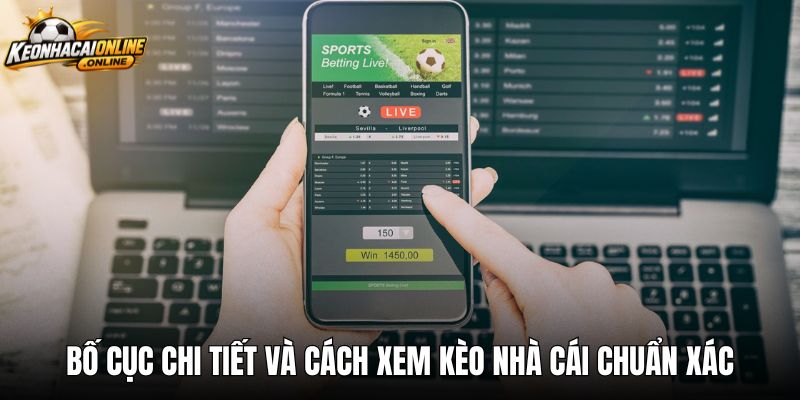 Bố cục chi tiết và cách xem kèo nhà cái chuẩn xác