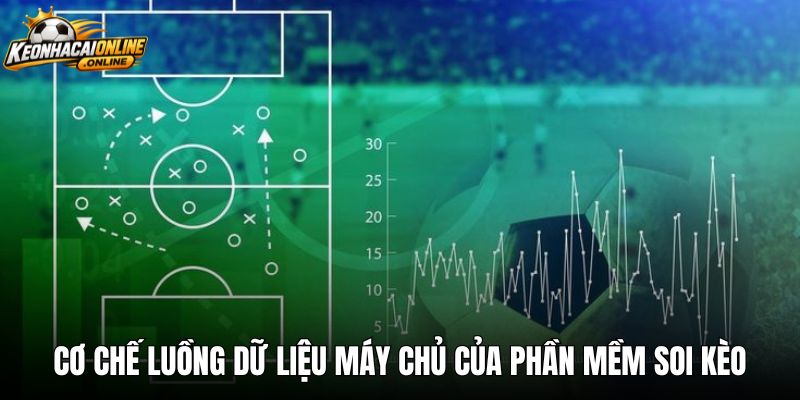 Cơ chế luồng dữ liệu máy chủ của phần mềm soi kèo