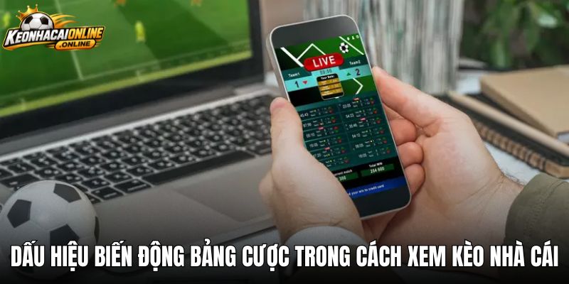Dấu hiệu biến động bảng cược trong cách xem kèo nhà cái