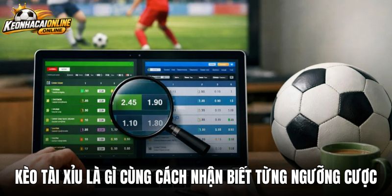 Kèo tài xỉu là gì cùng cách nhận biết từng ngưỡng cược