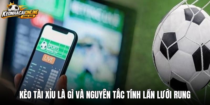Kèo tài xỉu là gì và nguyên tắc tính lần lưới rung