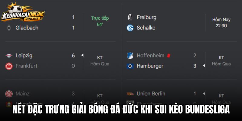 Nét đặc trưng giải bóng đá Đức khi soi kèo bundesliga