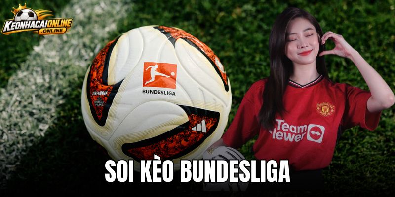 Soi Kèo Bundesliga - Nhận Định Tỷ Lệ Và Biến Động Odds