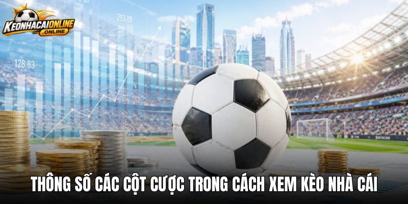 Thông số các cột cược trong cách xem kèo nhà cái