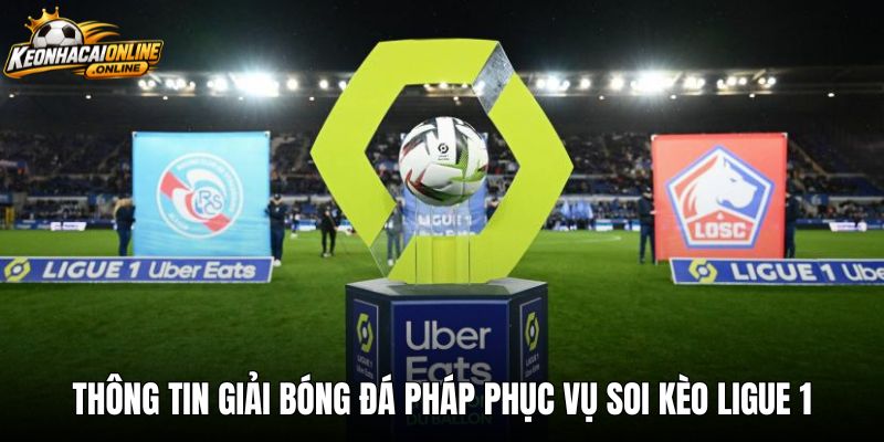 Thông tin giải bóng đá Pháp phục vụ soi kèo Ligue 1