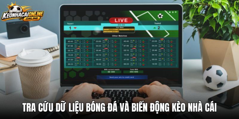 Tra cứu dữ liệu bóng đá và biến động kèo nhà cái
