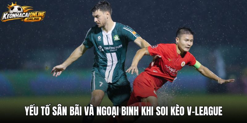 Yếu tố sân bãi và ngoại binh khi soi kèo v-league